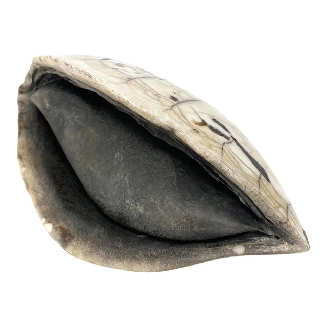 Vintage French Ceramic Clam Sculpture For Sale