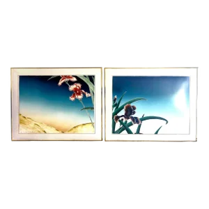 1980s Original Signed “Iris at Daybreak” and “Iris at Dusk” Framed Woodcut Silkscreens by D. Goldstein, a Pair
