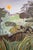 Early 21st Century Reaching For the Sun by Andrada Trapnell | Oil on board Monkeys in a lush landscape under the sun For Sale - Image 5 of 5
