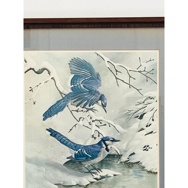 Mid-Century Modern Large Vintage Blue Jay Winter Scene Print For Sale - Image 3 of 14
