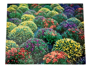 "Chrysanthemums, Park Avenue, New York" Contemporary Plein Air Photograph Print by Louise Weinberg