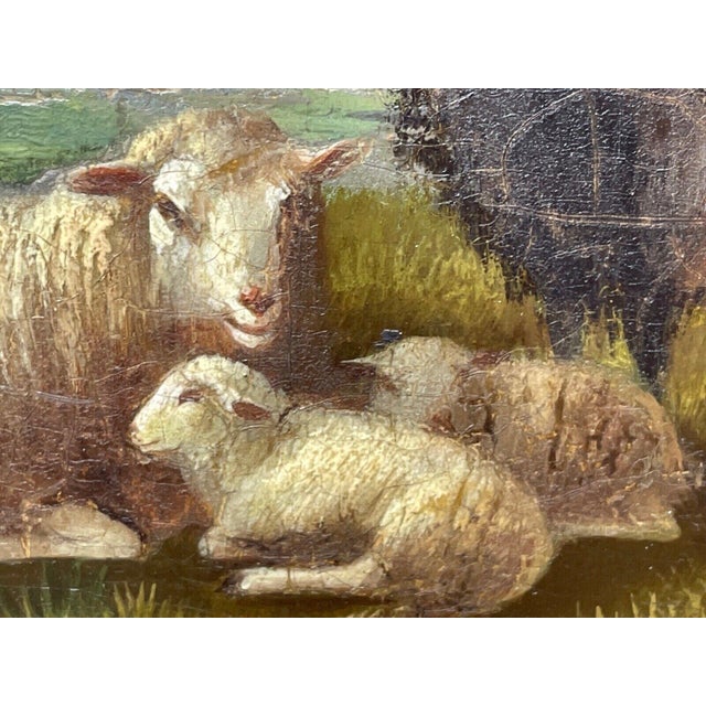 Antique Belgian Sheep Paintings Pair, Franz Van Severdonck Oil on Panel Pastoral Farm Scenes For Sale - Image 12 of 18