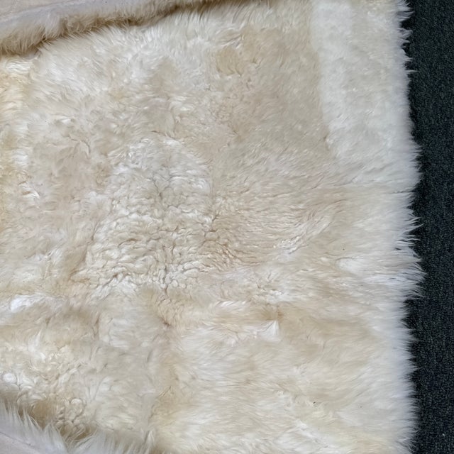 7ft 10in × 7ft 10in Safavieh Sheepskin Area Rug For Sale - Image 9 of 13
