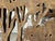 Wood Artdreams Home Trees Decorative Wall Mirrors, Pair For Sale - Image 7 of 12