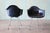 Set of 4 Navy Blue Fiberglass Eames Shell Armchairs for Herman MIller C. 1960s For Sale - Image 6 of 16