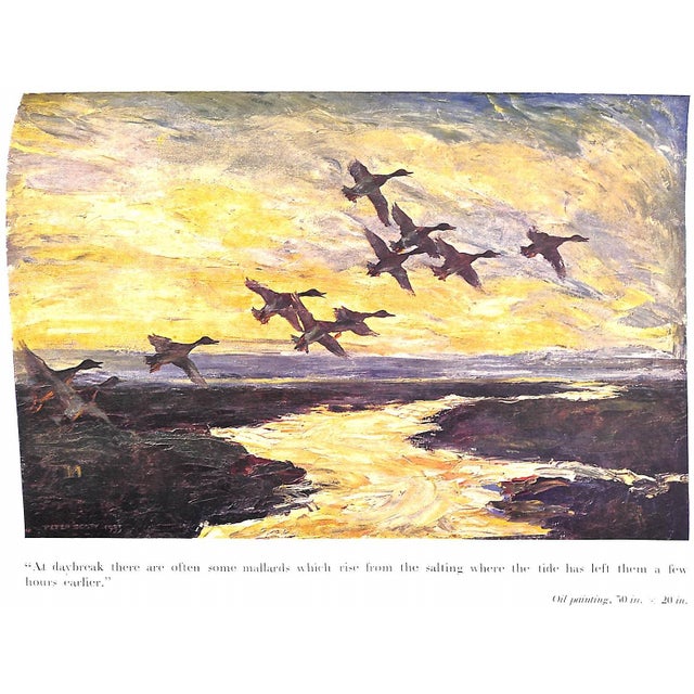 "Morning Flight a Book of Wildfowl" 1942 Scott, Peter For Sale - Image 9 of 12