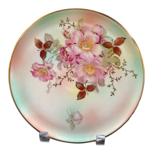 Vintage Bavaria Schumann Arzberg Hand-Painted Floral Porcelain Plate With Gilt Rim, Germany