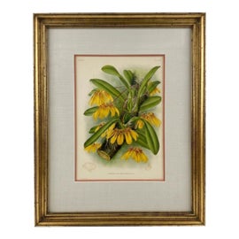 Example of Dorothy Draper Prints