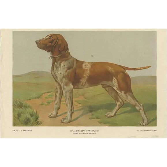 Th. Breidwiser, Hound Dog, 1879, Paper For Sale