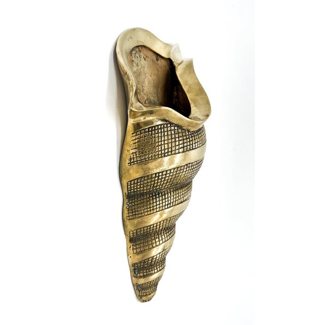 Metal Vintage Oversized Brass Conch Shell Wall Pocket / Planter – Coastal / Hollywood Regency For Sale - Image 7 of 10