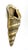 Metal Vintage Oversized Brass Conch Shell Wall Pocket / Planter – Coastal / Hollywood Regency For Sale - Image 7 of 10
