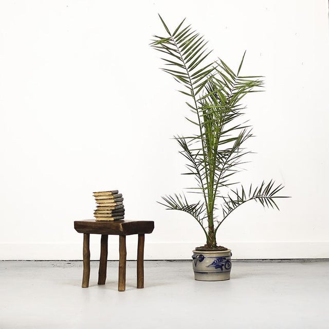 Primitive Wabi Sabi Oak Farmhouse Stool, 1940s For Sale - Image 6 of 12