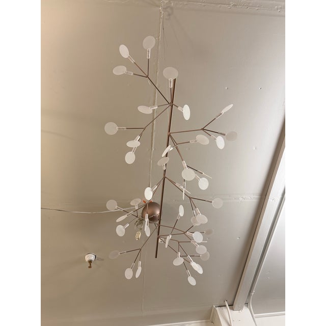 Moooi Bertjan Pot for Moooi Heracleum Endless Suspension Lamp For Sale - Image 4 of 12