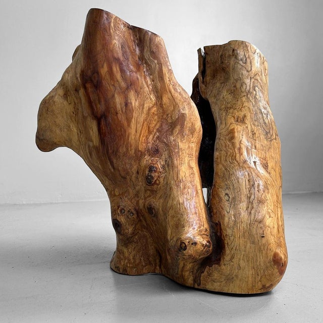 Japanese Tsuge Burl Wood Sculpture, 1920s For Sale - Image 12 of 18