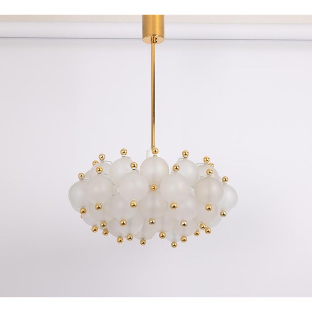 Large Frosted Glass and Brass Chandelier from Kinkeldey, Germany, 1970s For Sale - Image 15 of 18