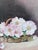 Vintage Original Flower Oil Painting, Floral Still Life Art For Sale - Image 6 of 13