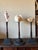 3 Baroque Mounted Seashell Specimens Displays on 19th Century Dark Wooden Stands For Sale - Image 11 of 11