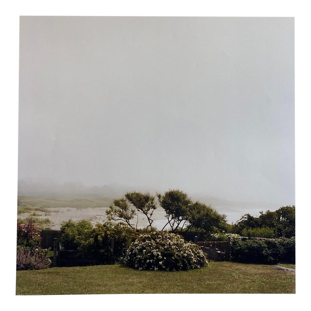 Peter C. Jones 1, Wild Roses, Large Format Photo 24X20 Color Photograph Beach House, 2004 For Sale