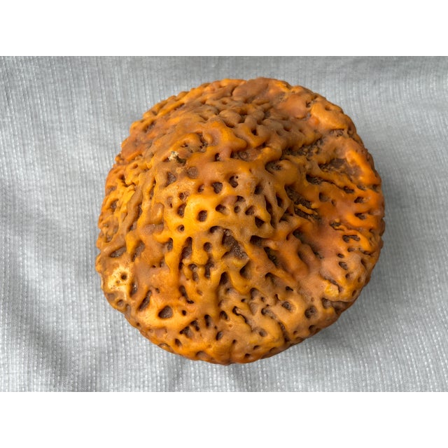 Large Mid Century Mushroom Candle Sculpture For Sale - Image 9 of 18