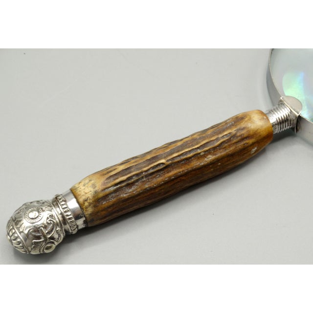 A fine quality antique English natural stag horn handled magnifying glass with sterlling silver mounts, hallmarked John...