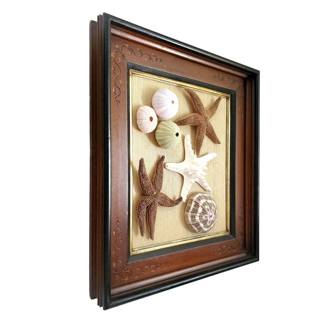 Box Pair Coastal For Sale In Miami - Image 6 of 14