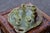 Tanzanian Green Onyx Rosolio Tray with Bottle and Glasses, Italy, 1950s, Set of 8 For Sale - Image 10 of 15
