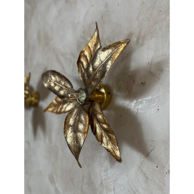 Wall Lights attributed to Willy Daro, 1970s, Set of 2 For Sale - Image 11 of 14