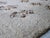Hand-Knotted Berber Wool Rug, 1978 For Sale - Image 4 of 13