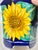 Ceramic Vintage Mexican Sunflower Planter For Sale - Image 7 of 12