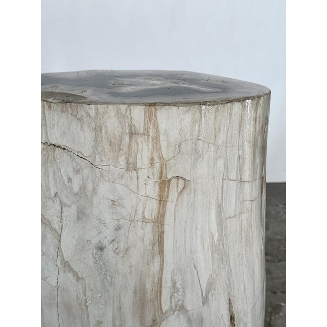 Side Table in Petrified Wood For Sale - Image 11 of 18