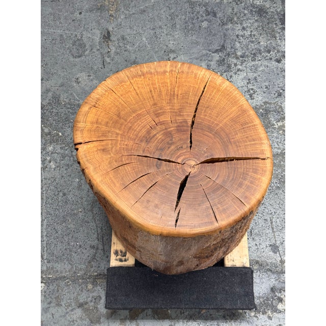 Wood Organic Modern Live Edge Tree Side Table/Stool For Sale - Image 7 of 12