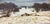 Bright snowy landscape, particularly narrow and long size, perfect for a sofa or piece of furniture This piece is...