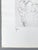 1980s Günter Grass, The Other Damroka, 1985, Signed and Numbered Etching For Sale - Image 5 of 16
