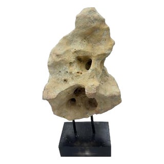 Indonesian Coral Stone On Teak Stand For Sale