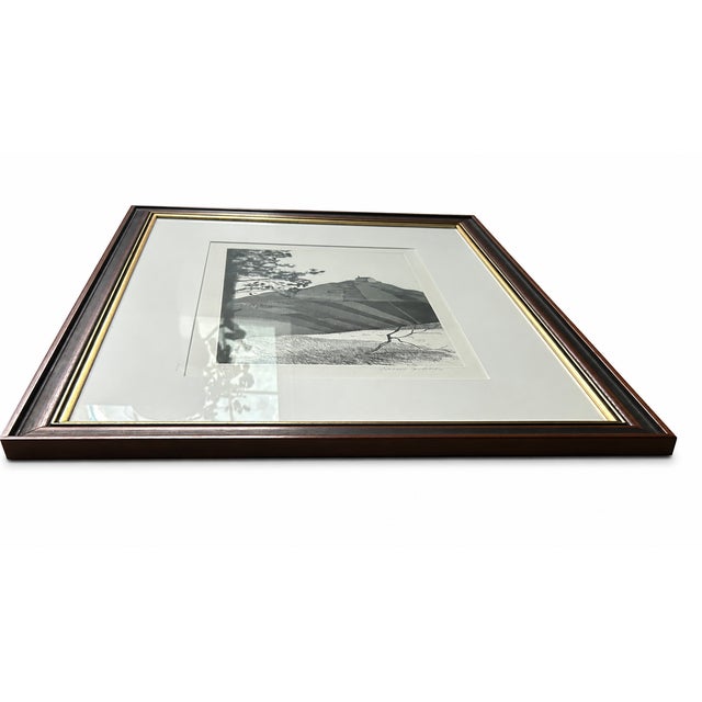 Printmaking Materials 1969 David Hockney “A Wooded Landscape” Framed Etching, Edition 53/100 With Certificate of Authenticity For Sale - Image 7 of 11