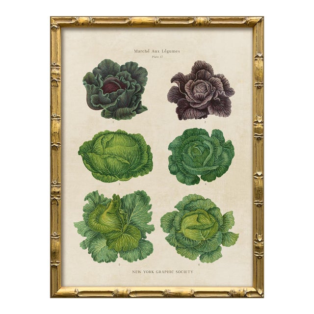 Contemporary Reproduction of Vintage Vegetables (1) Art Print, Framed For Sale