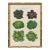 Contemporary Reproduction of Vintage Vegetables (1) Art Print, Framed For Sale