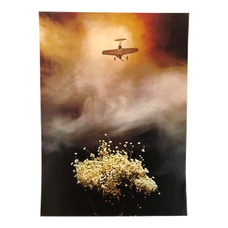 1970’s Sam Haskins Poster Print - Surreal Airplane For Sale