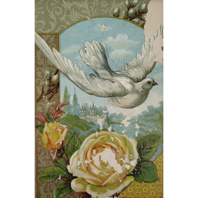 Early 20th Century Framed Victorian Dove With Rose Advertisement Card ...