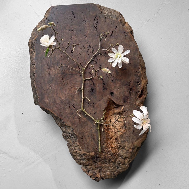 Meji Wabi-Sabi Low Tree Table, Japan, 1890s For Sale - Image 16 of 18