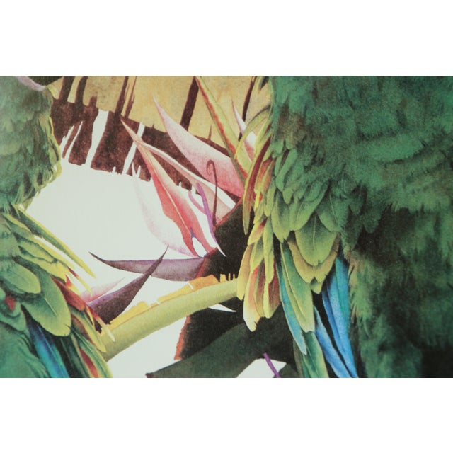 Glass Framed Tropical Parrot Limited Edition Print Pam Mark 'Birds of Paradise' For Sale - Image 7 of 18