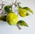 Rustic European 1950s Italian Toleware Hurricane Candle Holder With Lemon Tree Accents For Sale - Image 3 of 9