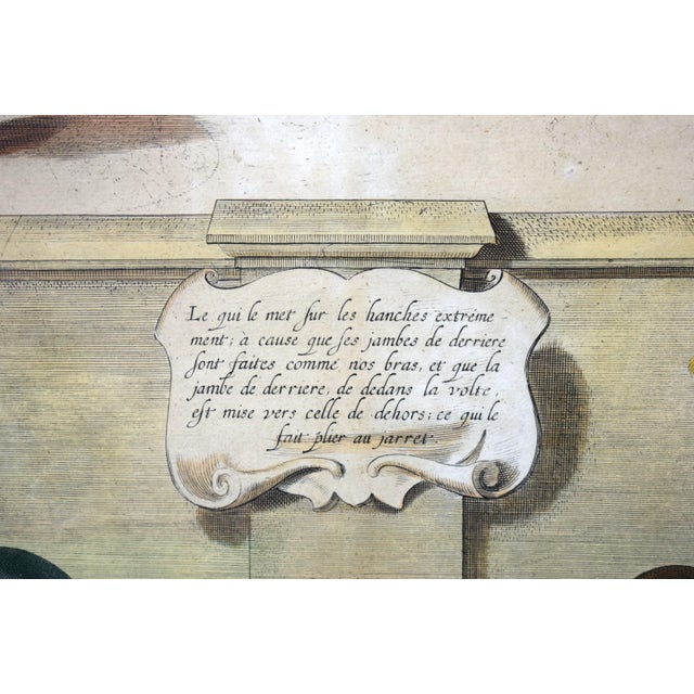 Mid 20th Century Four Horseman Hand-Coloured Lithograph Plate 36. For Sale In New York - Image 6 of 6