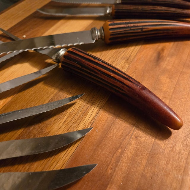 Bakelite Horn Carving Set and 12 Steak Knives- Set of Fourteen For Sale - Image 14 of 15