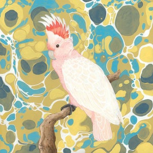 “Cockatoo Hour” Major Mitchell Cockatoo Painting Art by Allison Cosmos