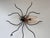 Italian Spider Wall Light Sconce with Yellow Glass Body, 1960s For Sale - Image 4 of 12