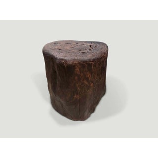 Andrianna Shamaris Modern Organic Charred Side Table For Sale