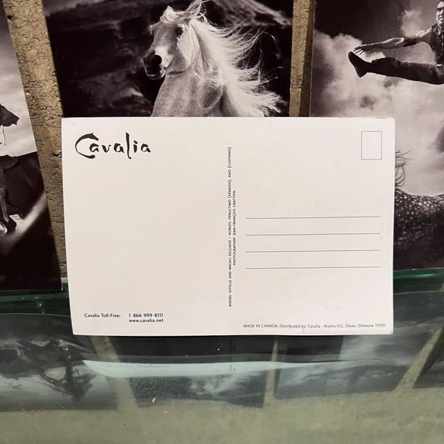Paper Vintage Cavalia Set of Five Post Card Prints Black and White Canada For Sale - Image 7 of 8