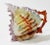 Antique Royal Bayreuth spikey shell creamer pitchers with vibrant colors of pink, green, brown, and orange. Shape and...