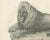 Mid 19th Century Barbary Lion, 1836, Lithograph For Sale - Image 5 of 10